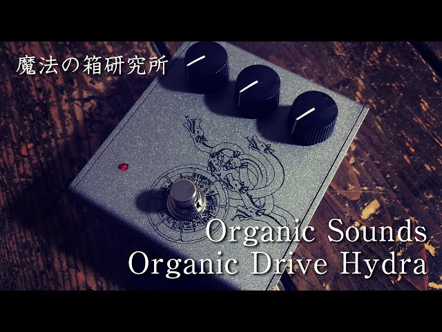 ギター organic sounds hydra ギター organic sounds hydra ギター