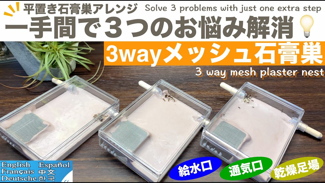 🔶 3way mesh plaster nest 🔶 Eliminates 3 problems in just one