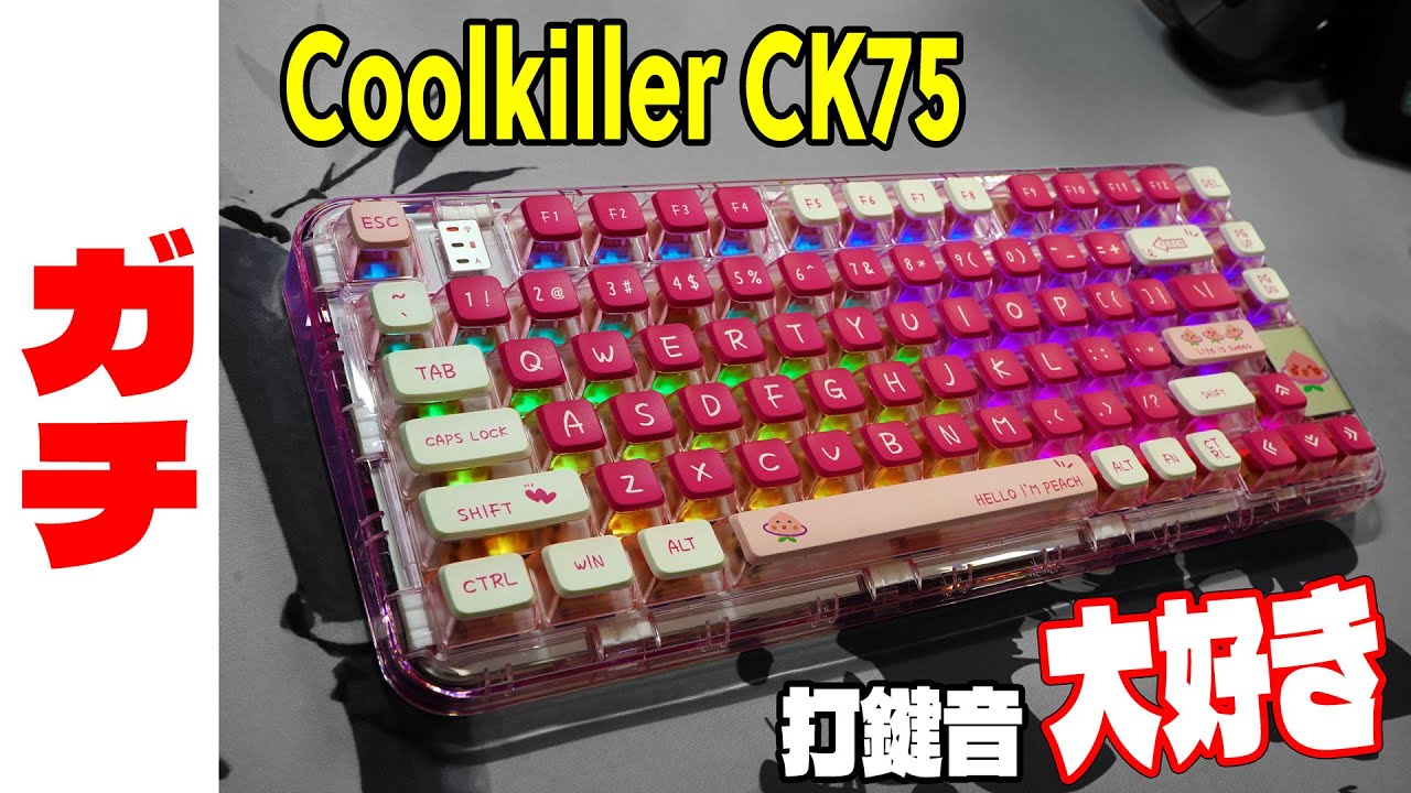 カジノデック6個セットカジノ】6デック用カードシュー（シューター