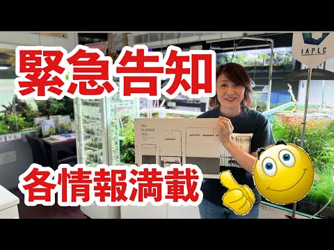 Urgent Notice: Information-packed Campaigns & New Products - YouTube