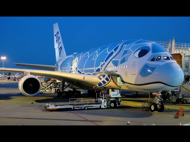 Flight Report] ANA | Tokyo ✈ Honolulu | Airbus A380 | Business