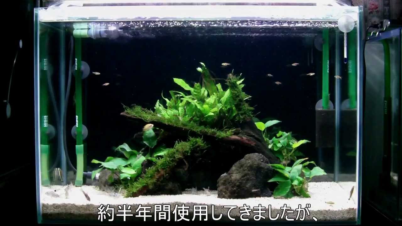 水草育成ライト コトブキ FLAT LED 600 TWIN 2550lm 水草育成ライト