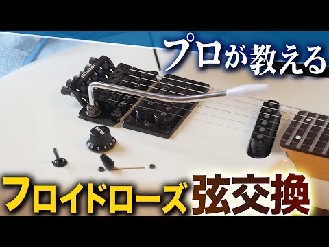 新品弦張替済】Charvel エレキギター Dinky フロイドローズ プロが