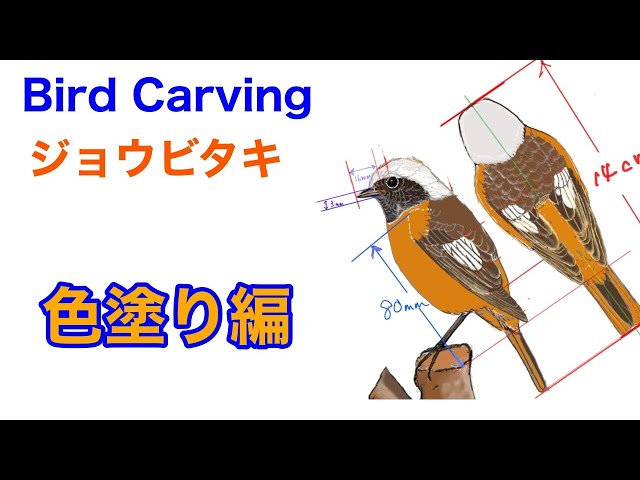 バードカービング（Birdcarving）ジョウビタキ5（色塗り編）ありむら