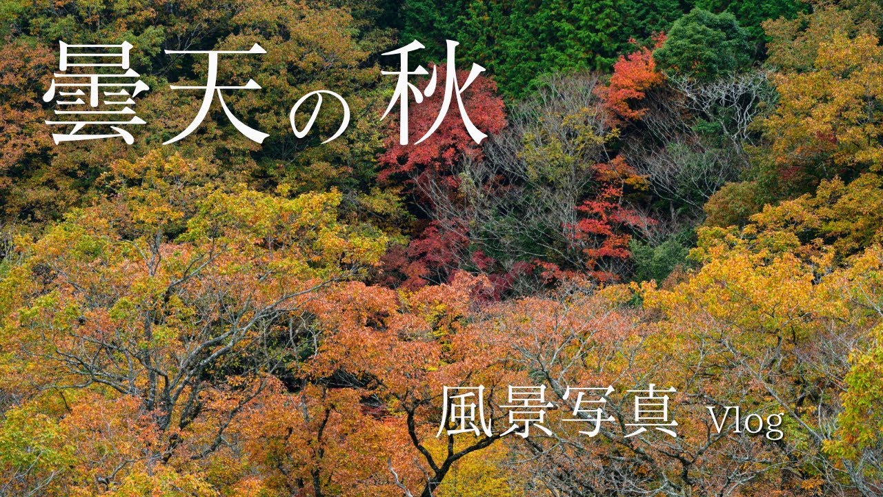 風景画 秋の自然 風景 フォトコンテスト「秋」の作品紹介 紅葉や作品10