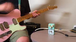 Animals Pedal Fishing Is As Fun As Fuzz | Singlecoils & Humbuckers