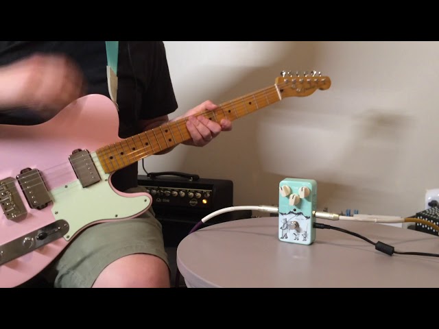 Animals Pedal Fishing Is As Fun As Fuzz | Singlecoils & Humbuckers