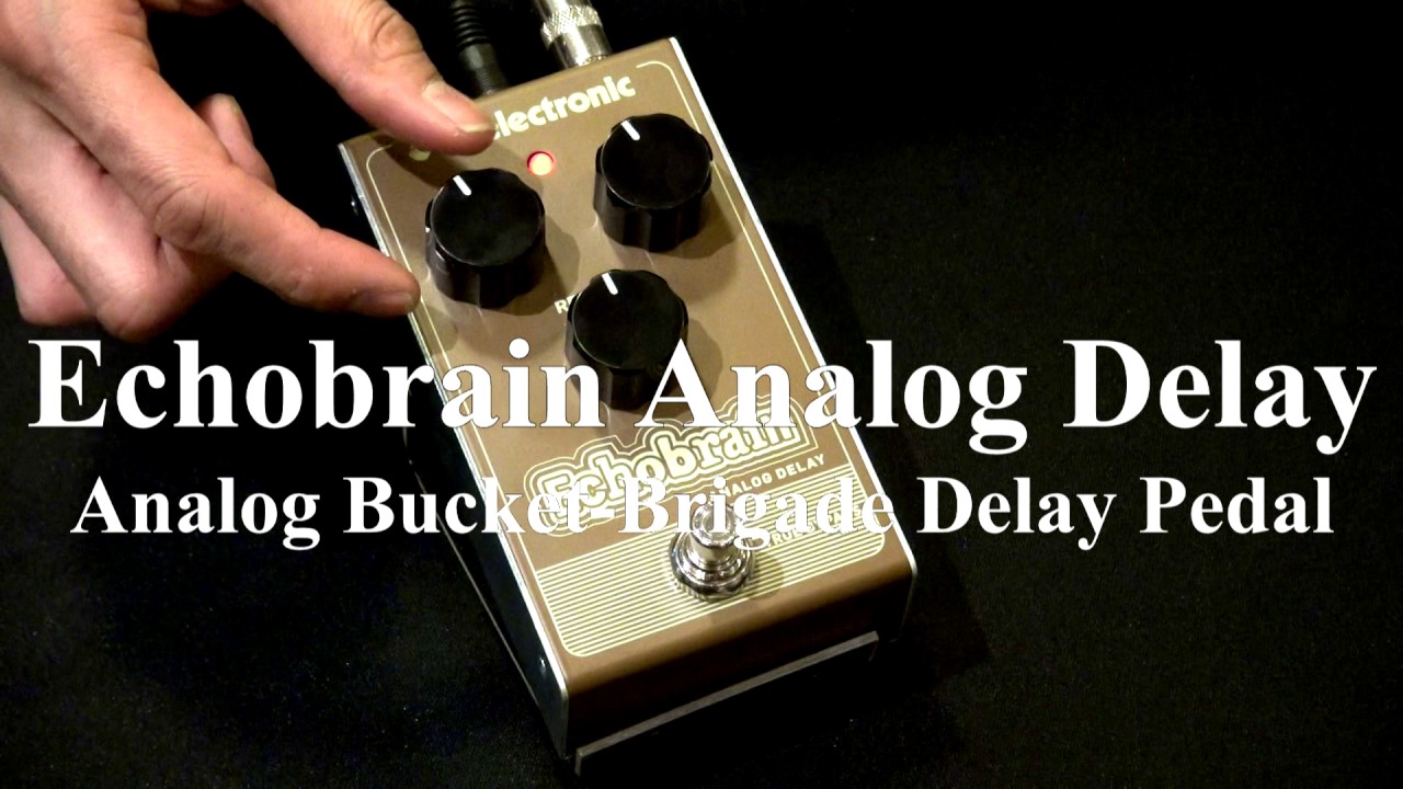 池部楽器店】Echobrain Analog Delay (Analog Bucket-Brigade Delay