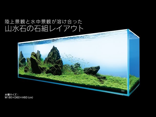 ADAview] AJ229連動-180cm水槽レイアウト 山水石石組編 - YouTube