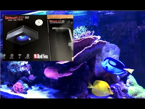 Purchased ReefLED50! Powered up my aquarium! [Saltwater fish tank