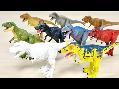 Tyrannosaurus Rex on display at the Fukui Prefectural Dinosaur