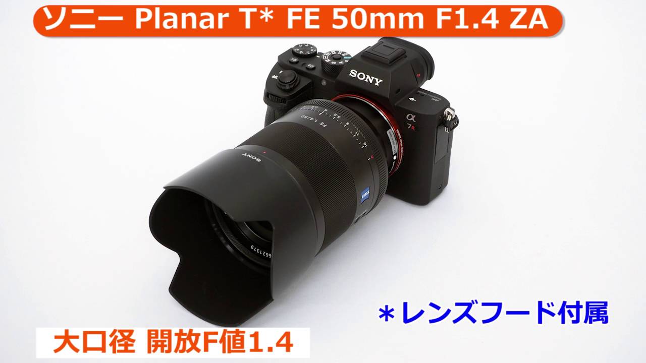 ソニー Planar T* FE 50mm F1.4 ZA [SEL50F14Z] （カメラのキタムラ