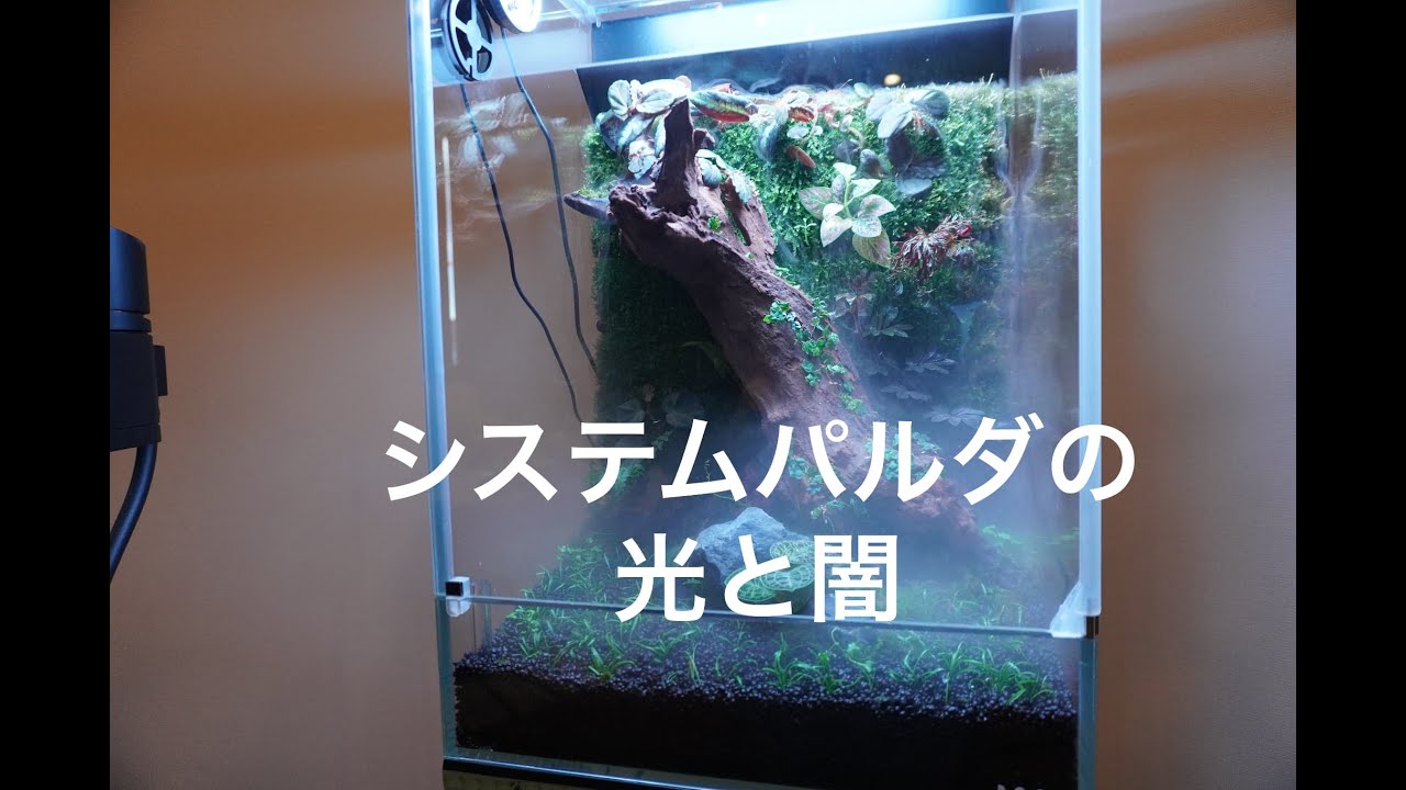 DOOA システムパルダ30にかっちょいいパルダリウムを作ってみた話