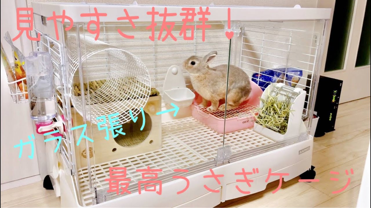 うさぎ用オススメケージ！見やすさ抜群！ガラスドア！ - YouTube