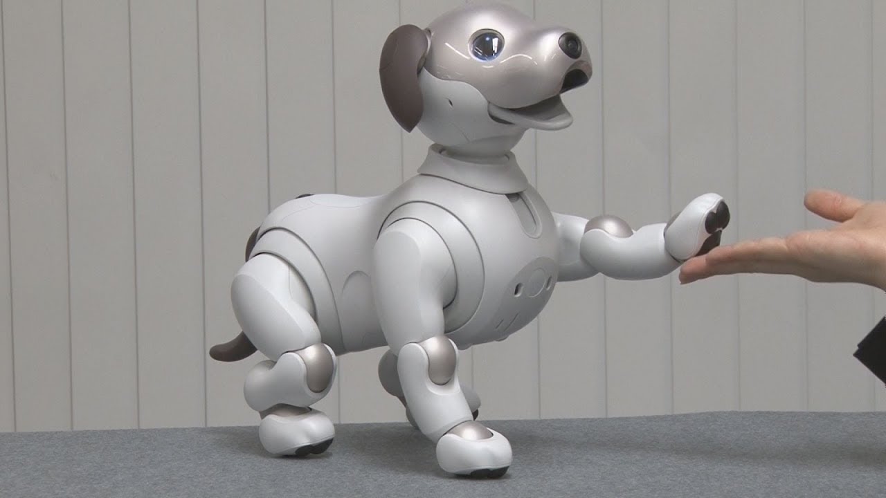 ソニー、新アイボ発売 12年ぶり復活、AIと融合 AIBO ロボット犬 グレー