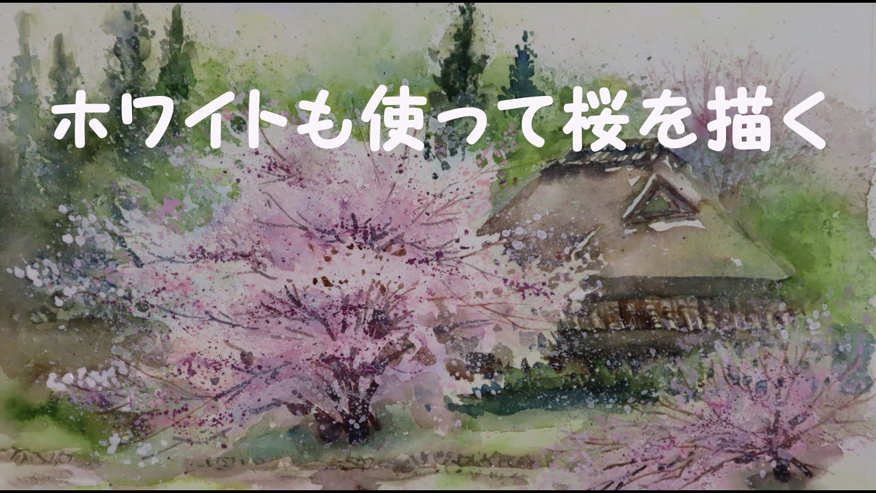 41㎝角「朝の桜」油彩・原画・S6 41㎝角「朝の桜」油彩・原画・S6