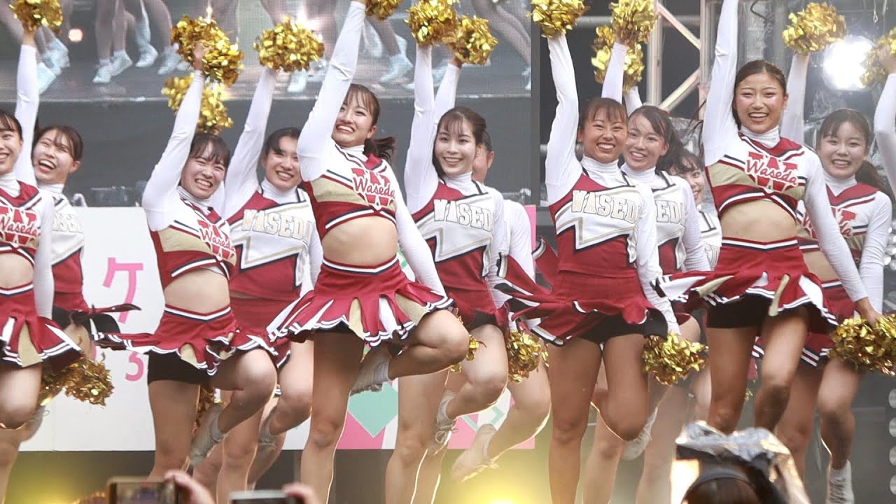早稲田応援部チアリーダーズBIGBEARS 早稲田祭スペシャルステージ