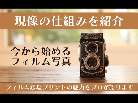フィルム】現像の仕組みを紹介！フィルム銀塩プリントの魅力をプロが