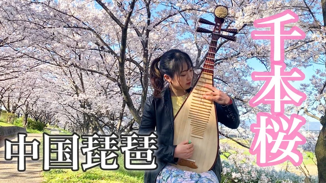 中国琵琶】千本桜/Senbonzakura - YouTube