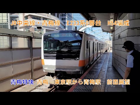 ○真のお宝 東京都 中央線 総武線 青梅線 停車駅 駅名板