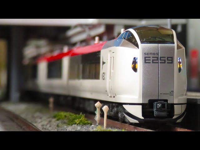 KATO E259系 マリンエクスプレス踊り子（室内灯付）土曜日までの限定