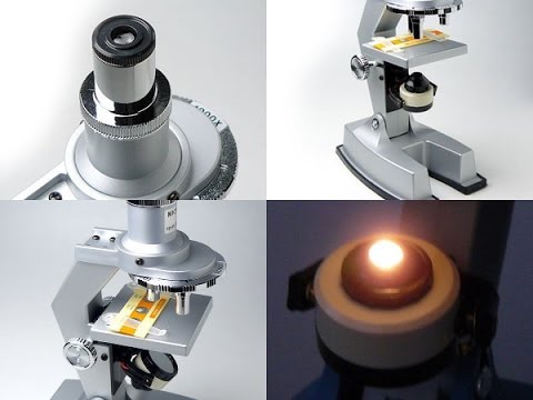 実際に使っていておすすめできる物 part2【4WAY顕微鏡（公文教育研究会