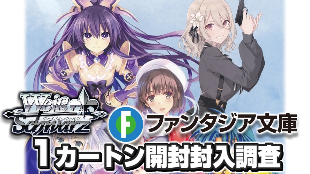 ヴァイスシュヴァルツ 電撃文庫 1カートン ヴァイスシュヴァルツ 電撃