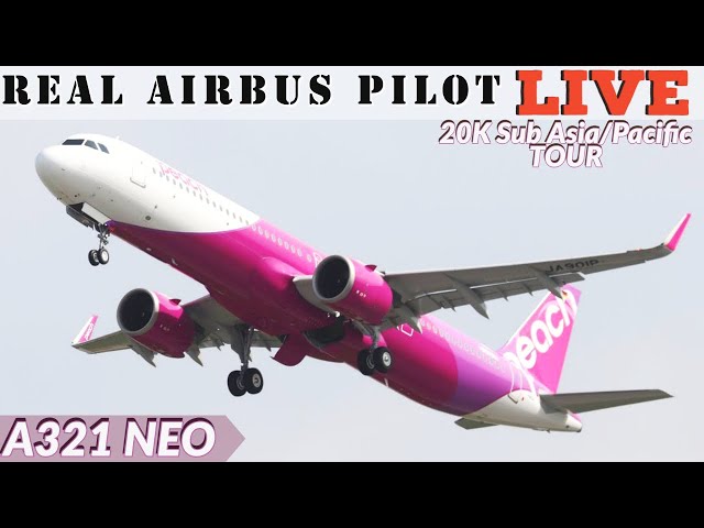 Back in the NEO | Real A321 NEO Captain LIVE | Peach Air! | Korea