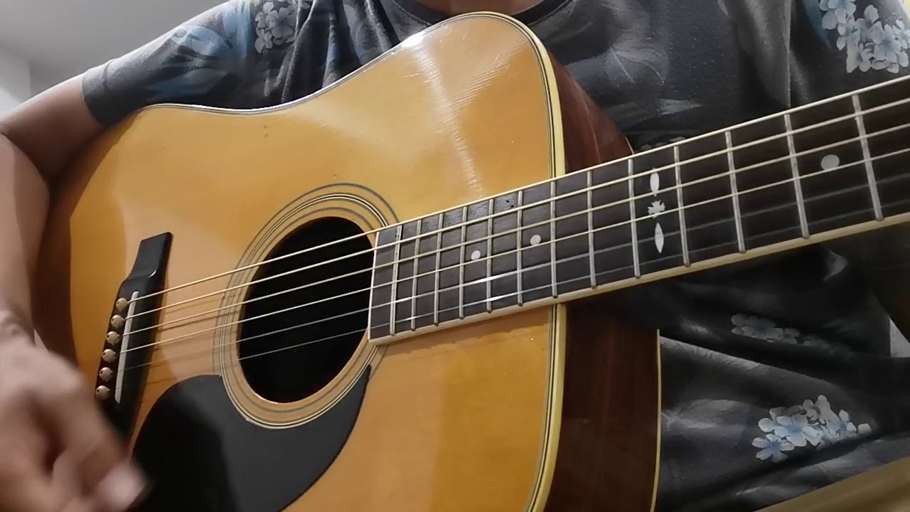 Cat's Eyes アコースティックギター CE-250 ジャパンビンテージ Cat's