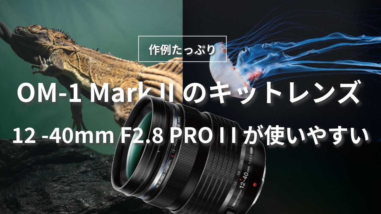 レビュー】OM-1 Mark IIキットレンズ12-40mm F2.8 Pro Ⅱで撮影してき