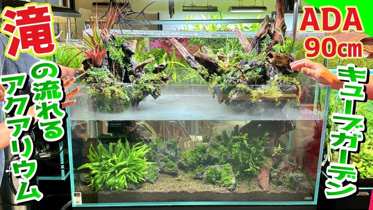 アクアリウム】ADA90センチキューブガーデンで滝の流れるアクアリウム