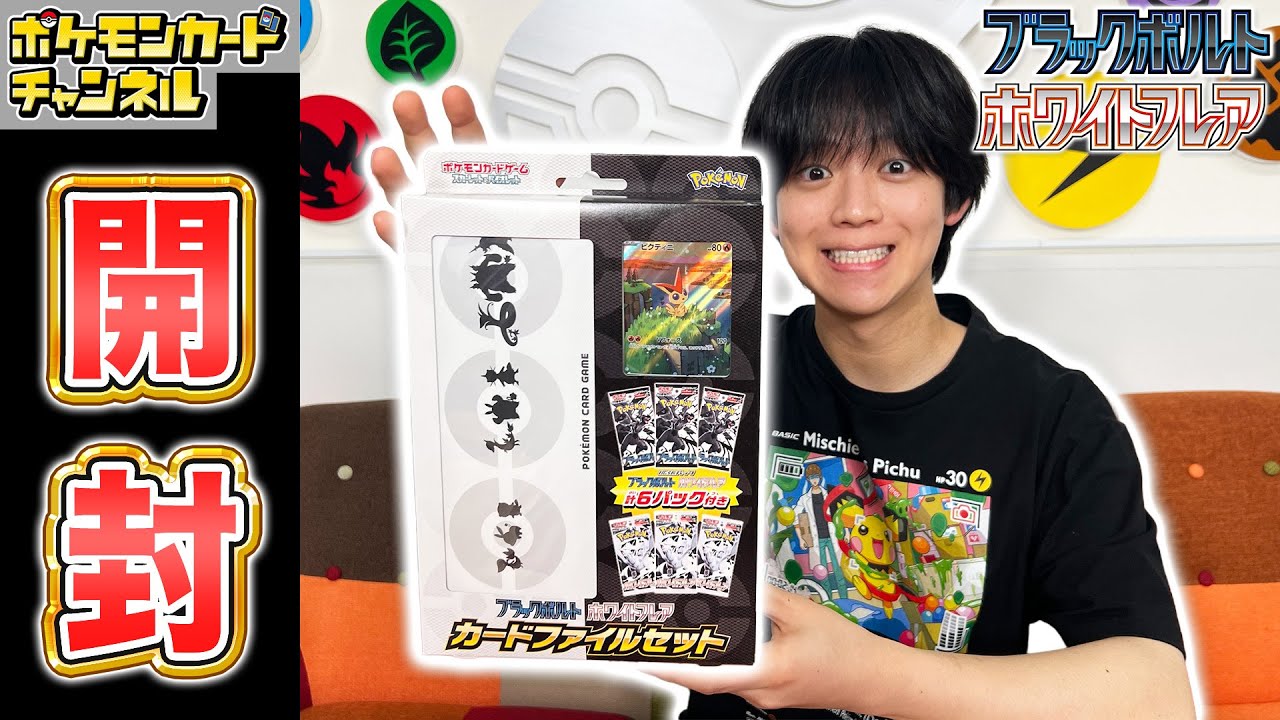 ポケモンカード AR 232枚 20シリーズコンプSET ファイル付 20シリーズ