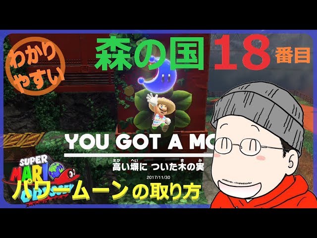 キモ パラダイスムーン NO.18 キモ パラダイスムーン NO.18 滝の国