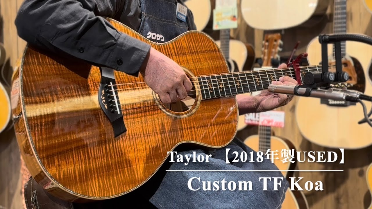 売約済み】Taylor Custom TF Koa 【2018年製USED】【オール極杢コア
