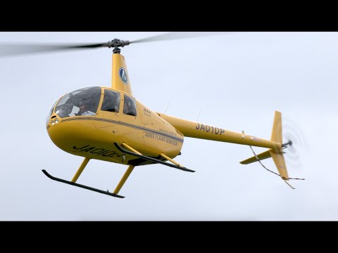 航空機・ヘリコプター NORTHEAST yellowbirds 航空機・ヘリコプター