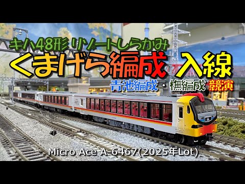 Nゲージ キハ48形リゾートしらかみ「くまげら」編成入線 - YouTube