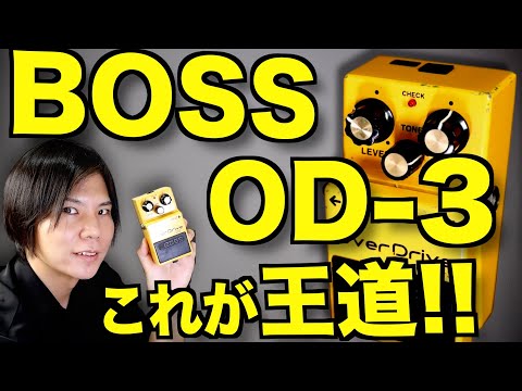 A review of the iconic BOSS OD-3 overdrive pedal! [Highly