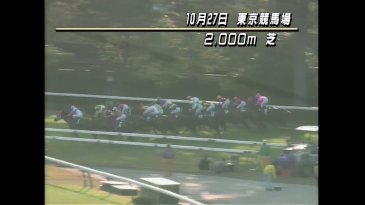 1996年天皇賞（秋）バブルガムフェロー - YouTube