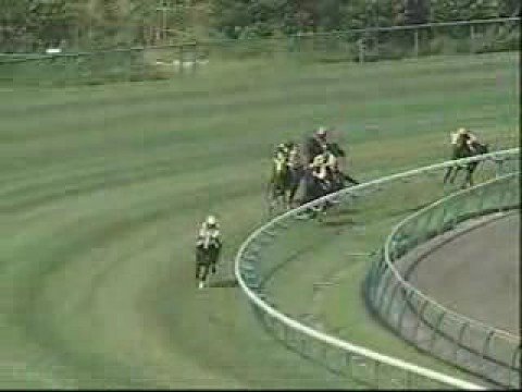 競馬 アバンティ サイレンススズカ 金鯱賞Ver Sサイズ 未使用 1998