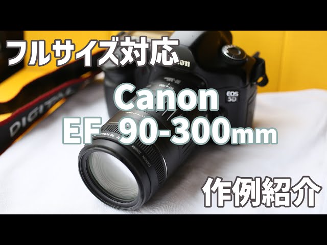 作例あり】フルサイズ対応！格安望遠ズーム canon ef90-300mm USMを