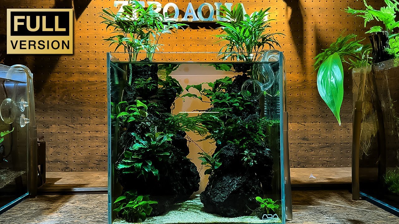 2[絶版]ADA雲山石3.5キロ☆穴3個 水槽 レイアウト アクアリウム 60