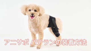 アニサポ パテラン – anifull