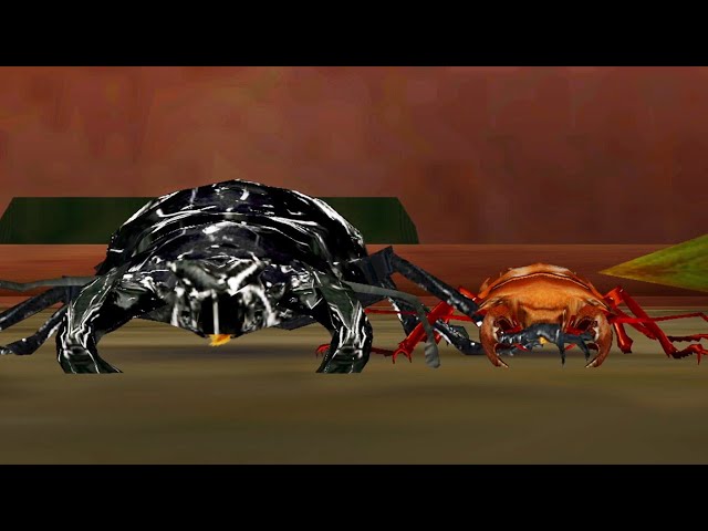 PSA10 タランドゥスツヤクワガタ 2005 ファースト PSA10 タランドゥス