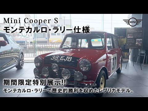 クラシックMINI モンテカルロ・ラリー仕様 期間限定でMINI宝塚に特別