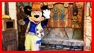 250枚限定】 ディズニー公認「キャンペーントレイル」ミッキーと仲間