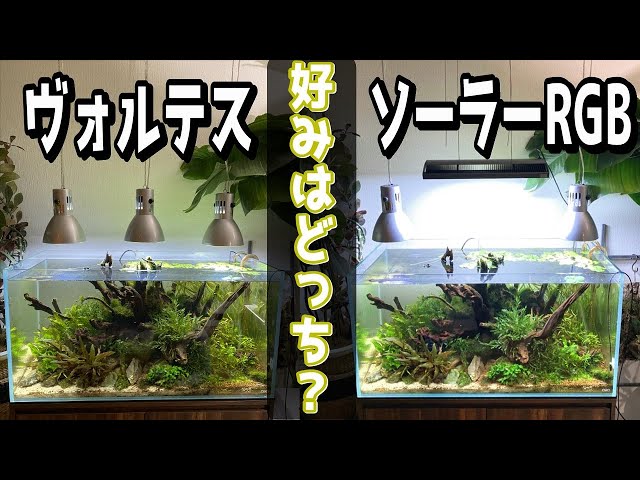 アクアリウム】水草水槽にADAソーラーRGBを設置していこう（ヴォルテス
