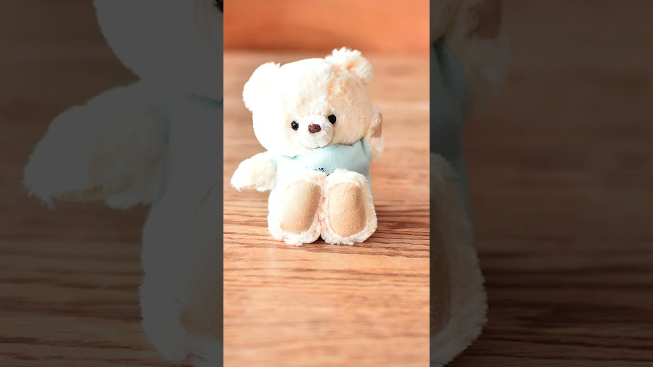 誕生日プレゼントや記念日に 名入れ可 かわいいテディベアキーホルダー