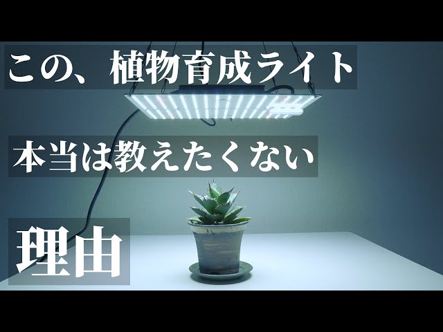 Best Value] Affordable! Highly Recommended! Review of the 