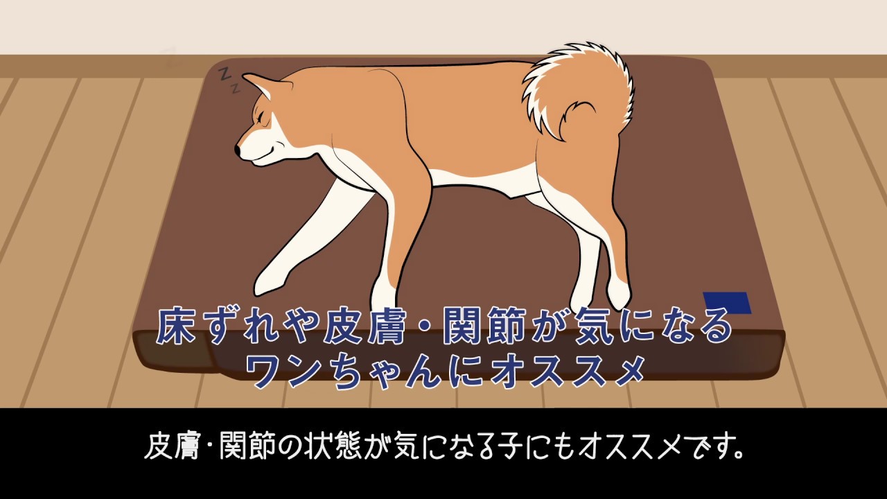 ユニ・チャームペットPro_介護用マット - YouTube