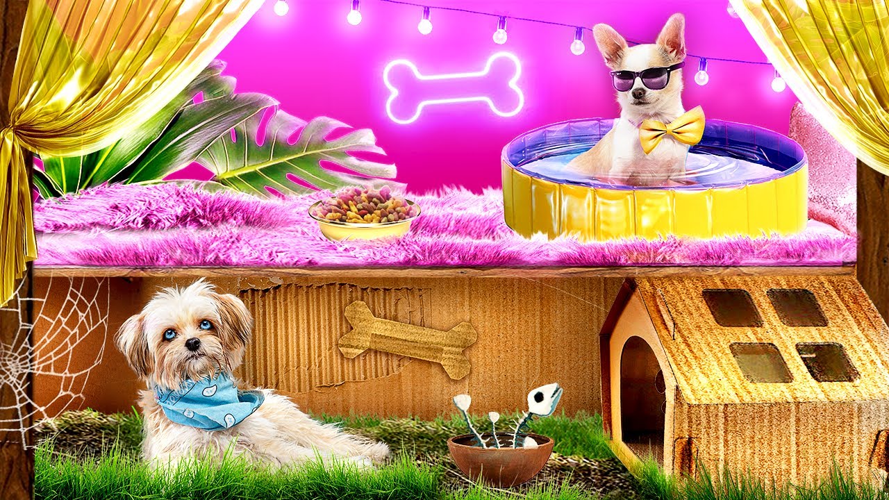 Rich Dog vs. Poor Dog! Create a secret room for your pet! - YouTube